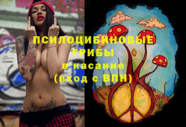 стафф Алзамай