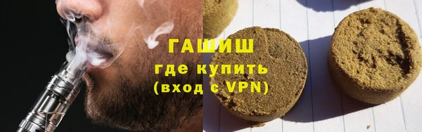 гашик Алексин