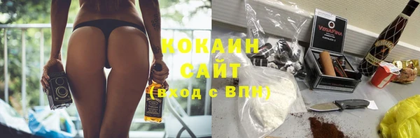 стафф Алзамай