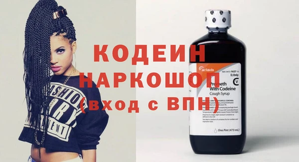 гашик Алексин