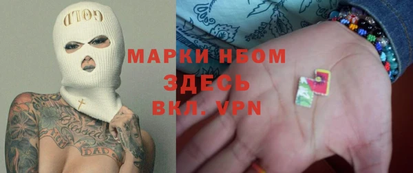 гашик Алексин