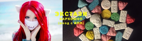 гашик Алексин