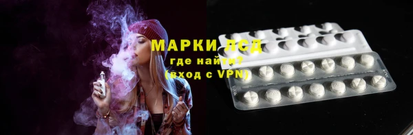 гашик Алексин