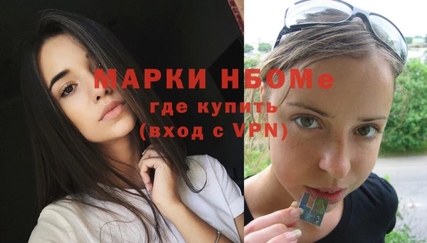 стафф Алзамай