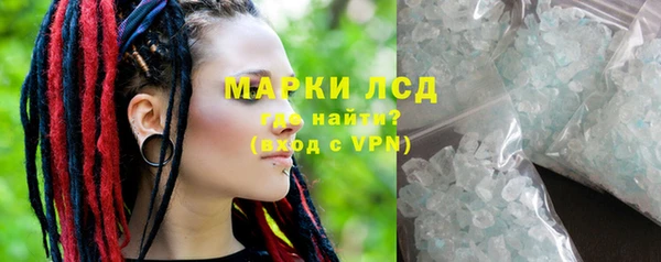 гашик Алексин