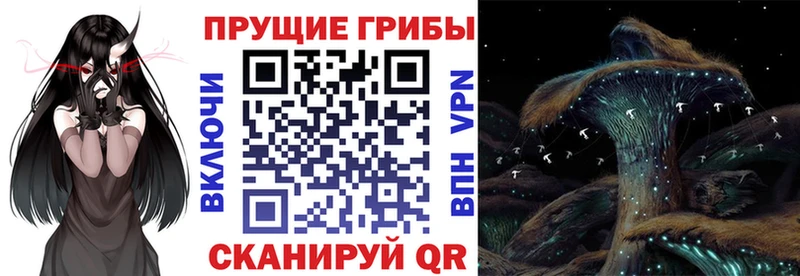 Галлюциногенные грибы GOLDEN TEACHER  Каневская 